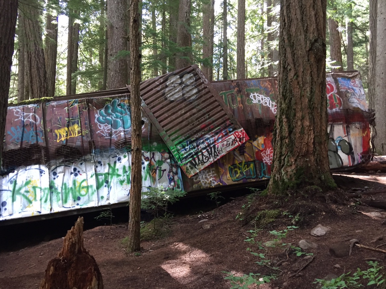 Graffiti train-wreck outside of Whistler, BC