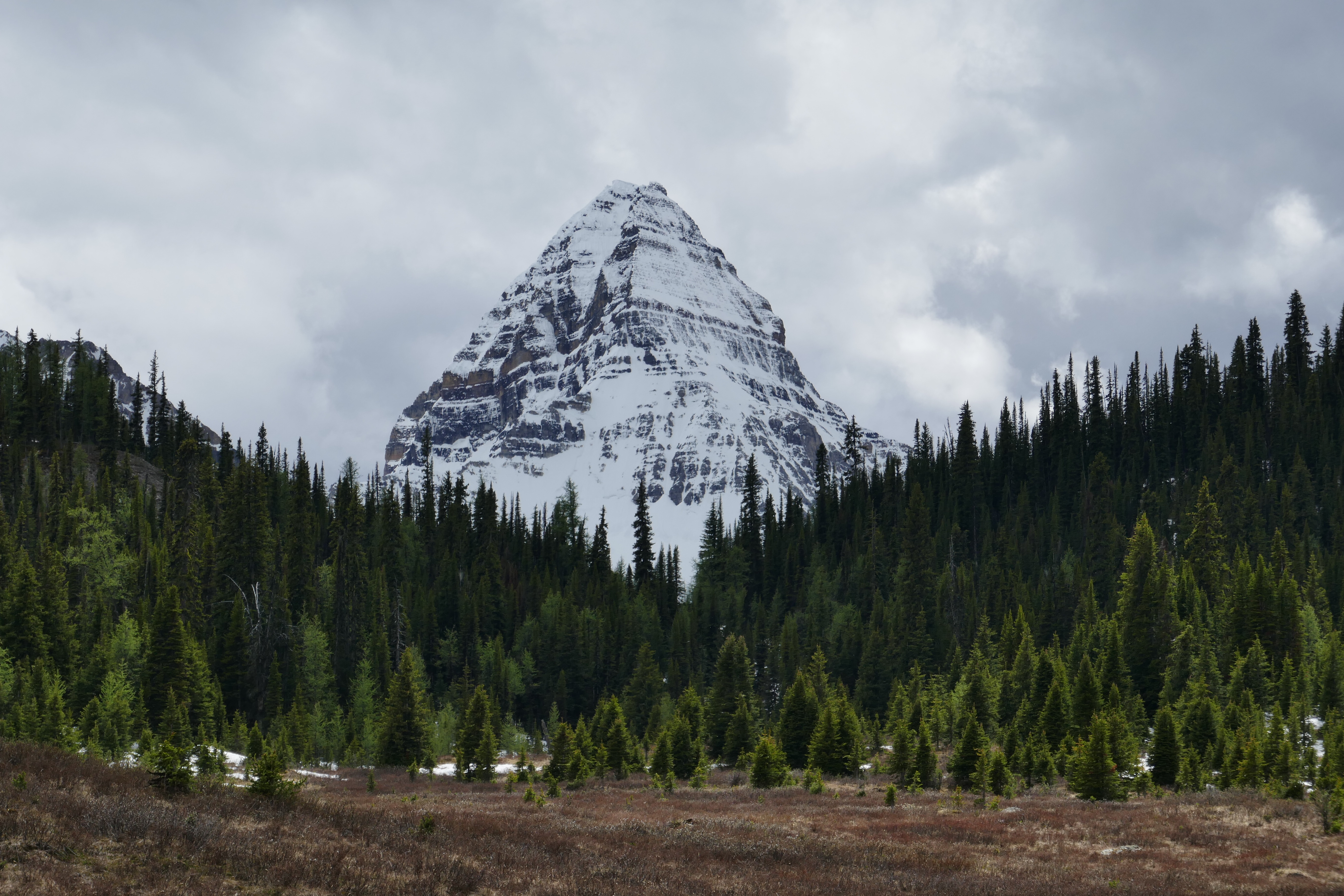 Looking back at Mount Assiniboine 